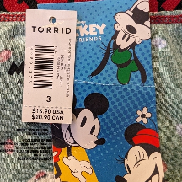 Torrid Disney Mickey & Friends Mid Rise Cotton Hipster Panty 2x or 3x - Picture 2 of 13